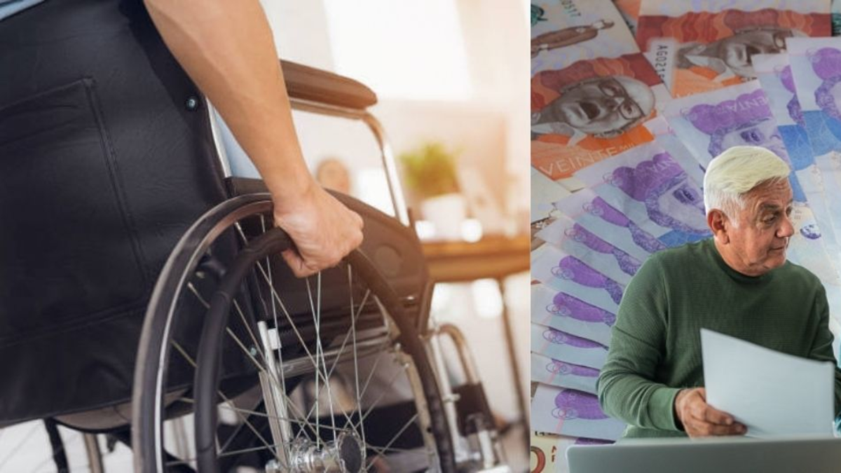 plazos y requisitos para no perder tu asignación

 – Tinta clara