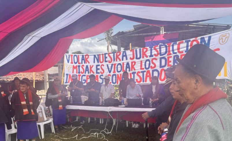 La ANT aclara derechos territoriales ante disputas entre pueblos indígenas

 – Tinta clara