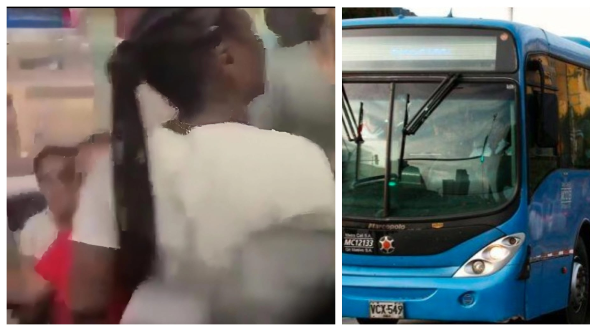 Sobre una silla, dos mujeres estallan en una violenta pelea en el bus del MIO en el oriente de Cali; El suceso generó pánico entre los usuarios

 – Tinta clara