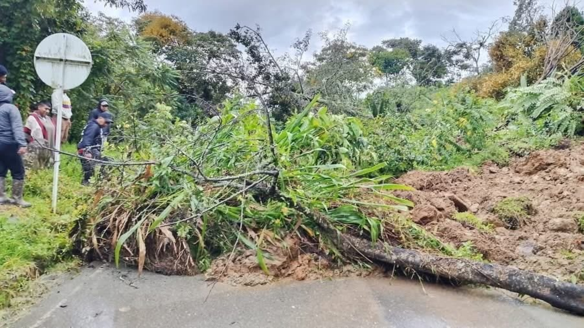 Lluvias desbordantes inundan viviendas, destruyen cultivos y dejan incomunicados a municipios

 – Tinta clara
