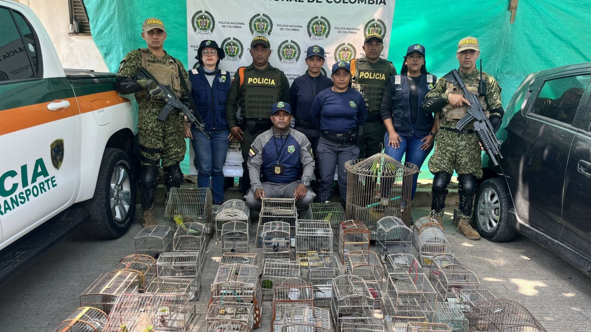 70 aves fueron rescatadas en Turbaco (Bolívar)

 – Tinta clara