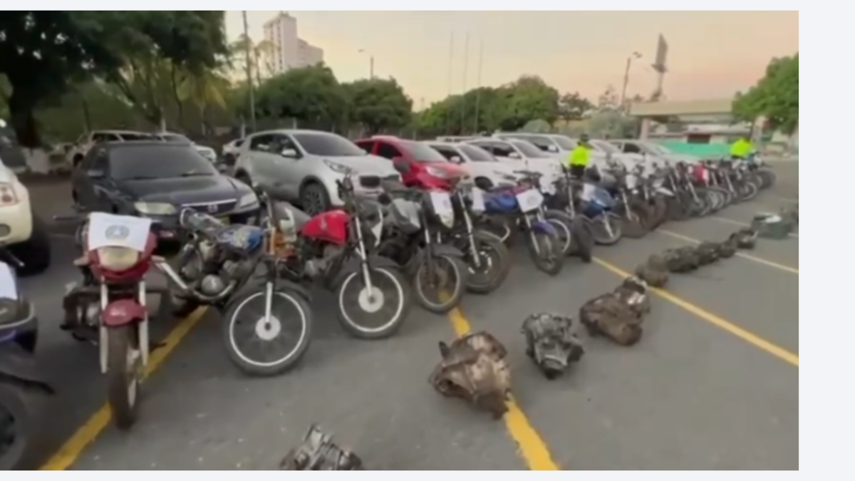 Estos son los vehículos que fueron robados y que la Policía de Cali recuperó en un gigantesco operativo contra el hurto para que los ciudadanos puedan reclamarlos

 – Tinta clara