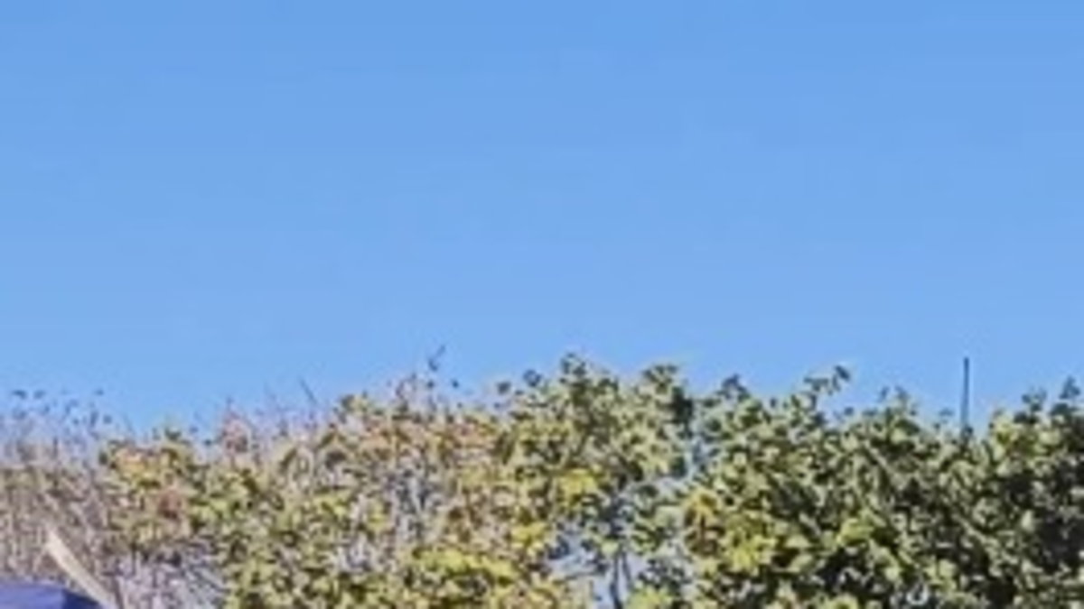 Distrito confirmó que un turista inglés que había llegado a Cartagena para su boda se ahogó en las playas de El Laguito

 – Tinta clara