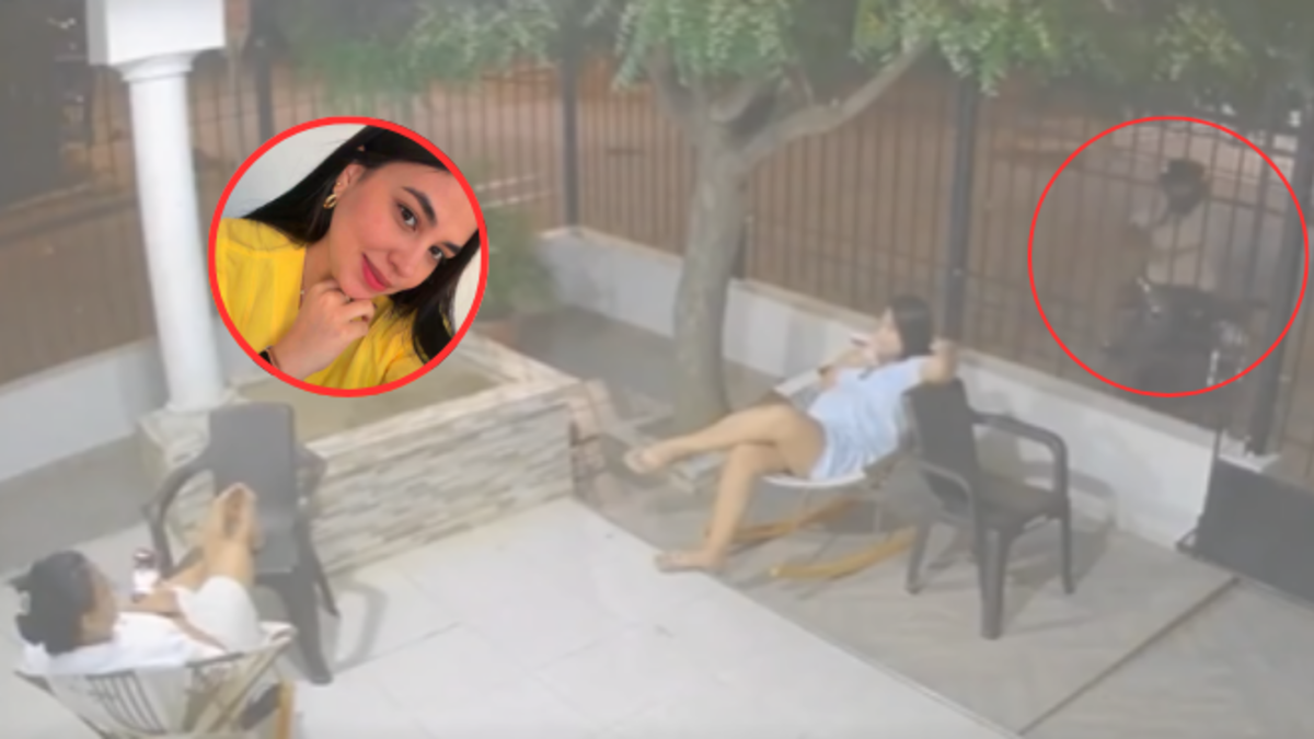 Psicóloga embarazada fue atacada a balazos y permanece en UCI tras cesárea de emergencia

 – Tinta clara