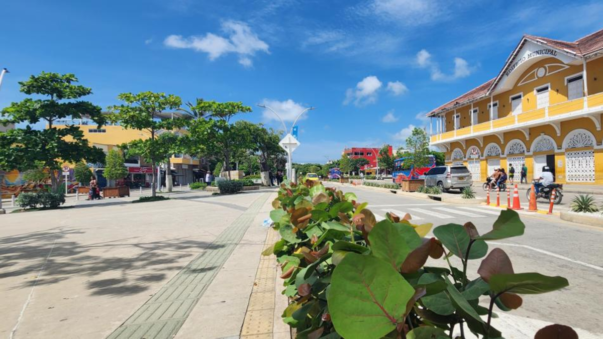 Autoridades investigan causas de muerte y no descartan hipótesis.

 – Tinta clara