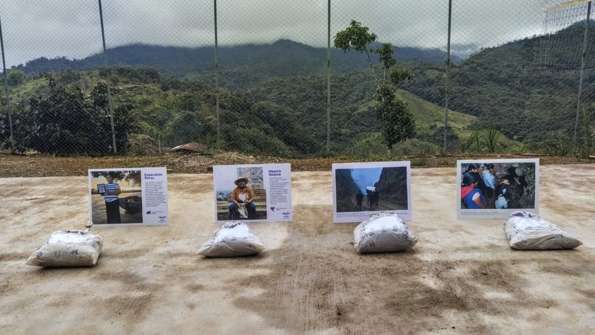 Así fueron recuperados los cuerpos de diez personas desaparecidas en territorios indígenas de Nariño

 – Tinta clara