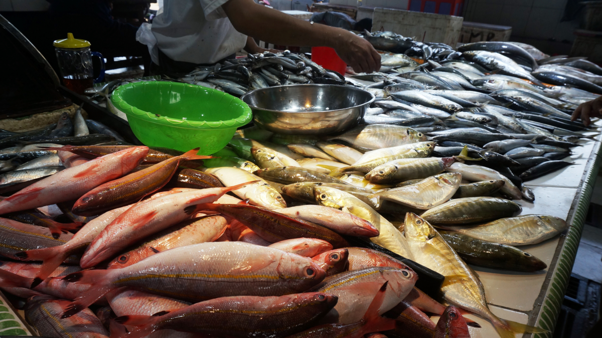 ¿Por qué los aranceles con Ecuador afectarán el consumo de pescado durante la Semana Santa en Colombia?

 – Tinta clara