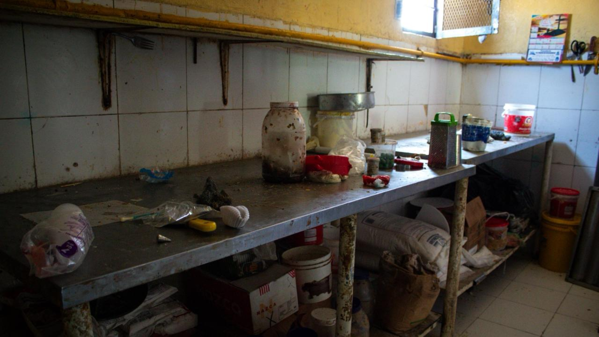 Autoridades cierran panadería en Soledad, Atlántico, tras encontrar cucarachas y un gato dentro del área de producción

 – Tinta clara