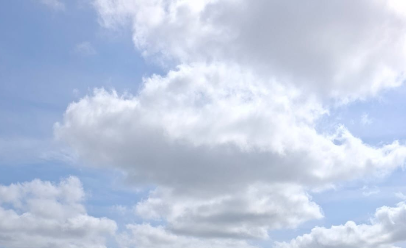 Con jornadas de limpieza buscan frenar riesgo aéreo en Cortissoz; Retiran toneladas de basura en zonas cercanas al aeropuerto

 – Tinta clara