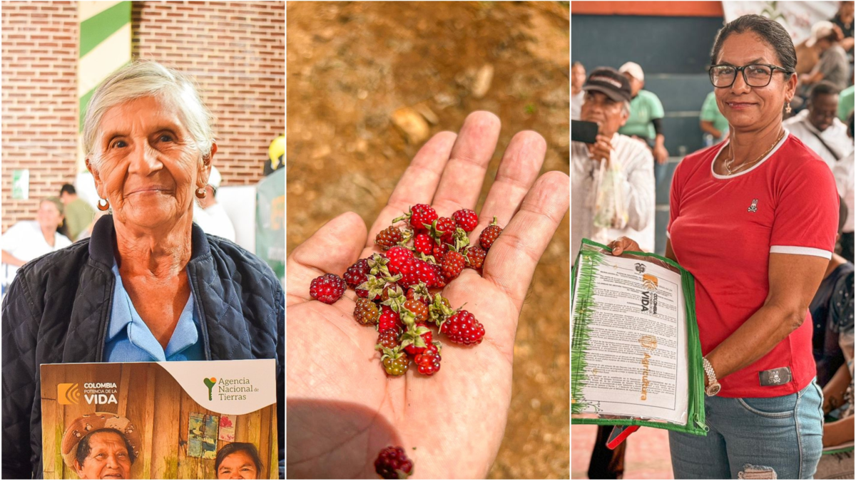 Estos son sus conmovedores testimonios

 – Tinta clara