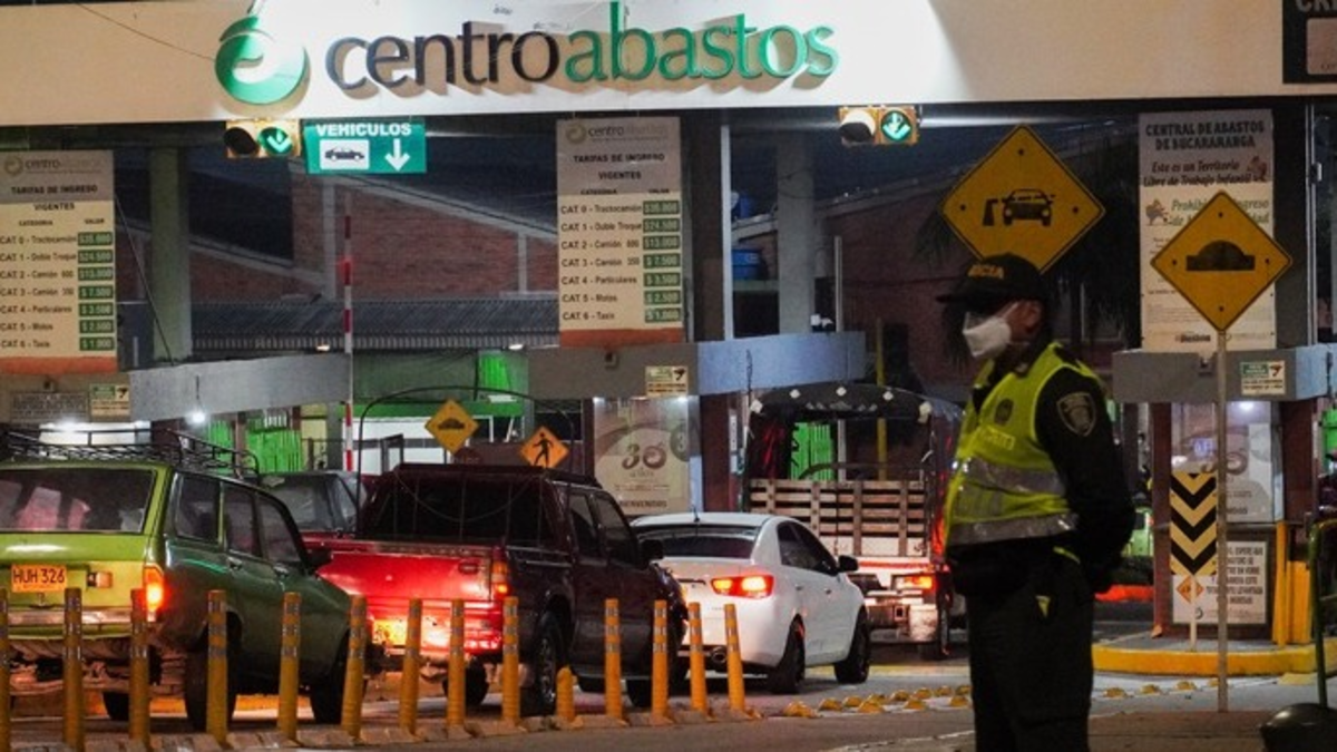 Habrá un ‘viaje de pesca matinal’ para turistas

 – Tinta clara