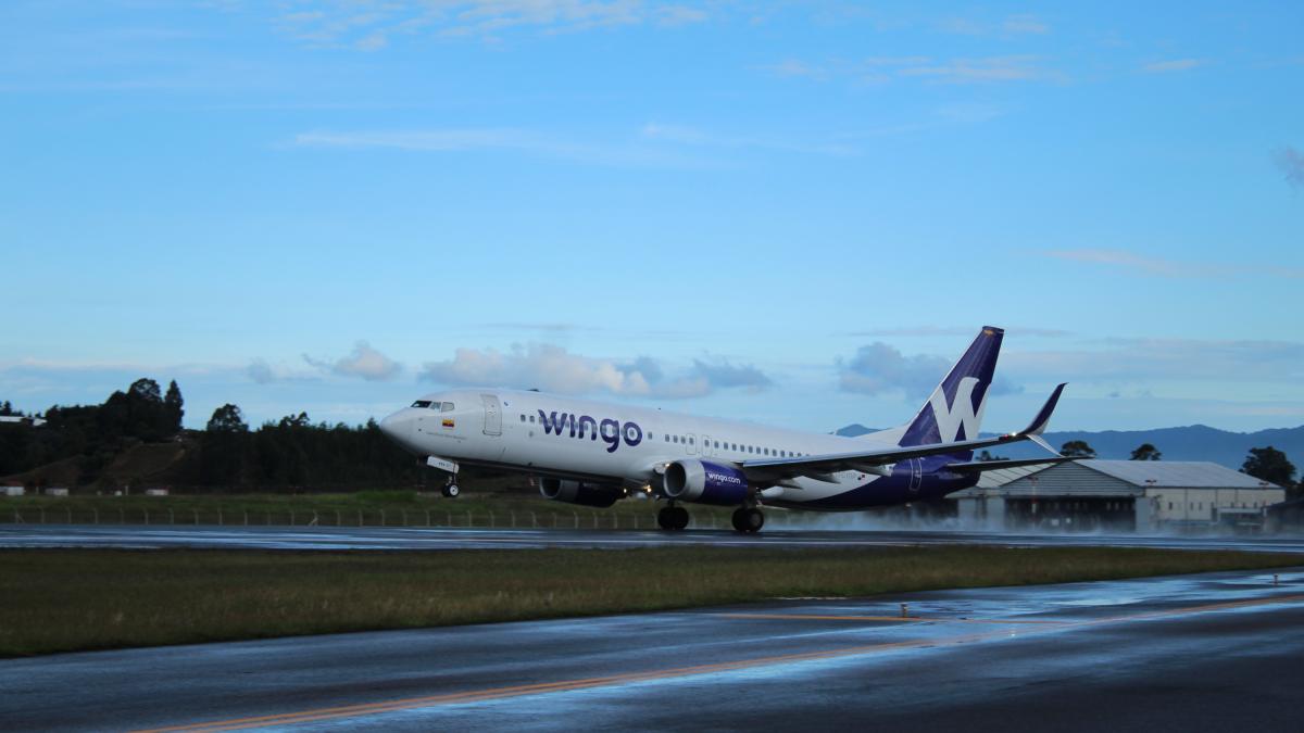 Santander se conectará con Medellín con Wingo, conoce las rutas semanales y precios

 – Tinta clara