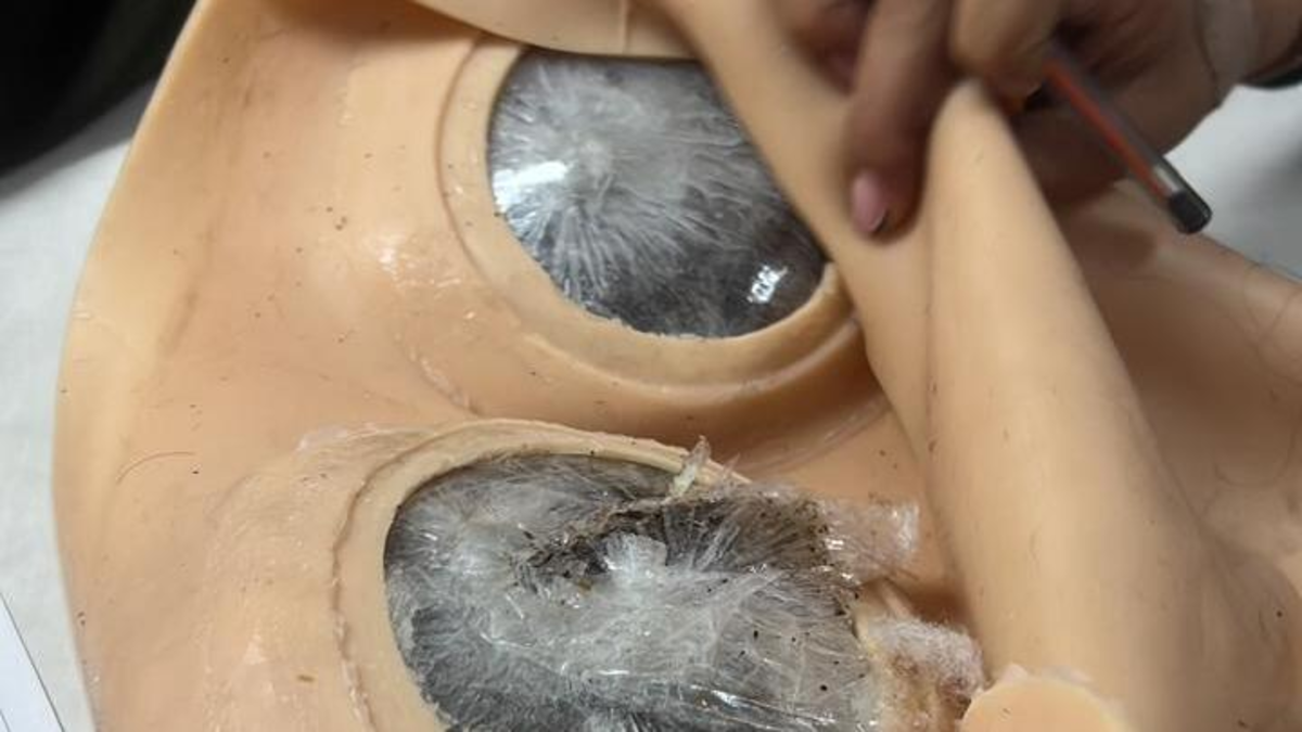 Una mujer fue capturada en un bus en la ruta Cali a Bogotá, escondiendo 2,6 kilos de droga

 – Tinta clara