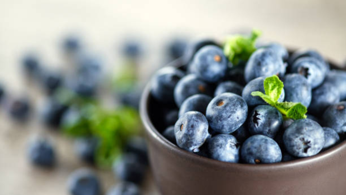 Las hectáreas cultivadas aumentarán un 20% en 2026

 – Tinta clara