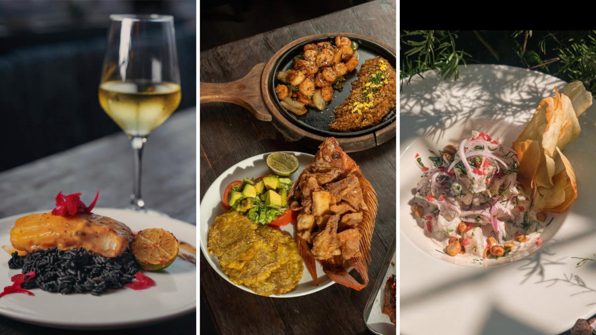 nueva apuesta gastronómica y cultural que busca atraer turismo e impulsar la oferta en Cartagena

 – Tinta clara