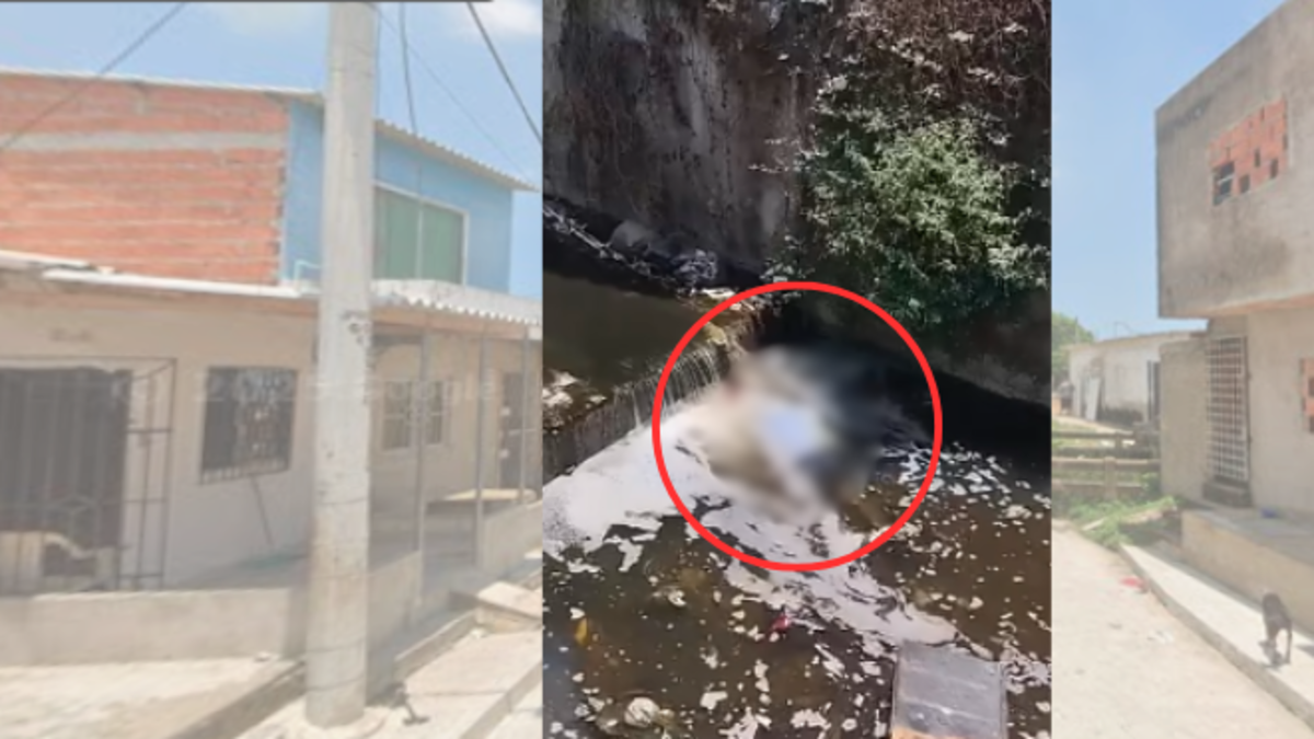 Conmoción por el hallazgo de un cuerpo flotando en un arroyo entre La Pradera y Los Olivos: esto es lo que se sabe

 – Tinta clara