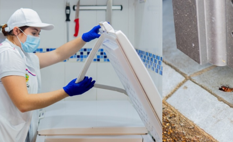 Alcaldía de Ibagué cerró tres carnicerías por presencia de cucarachas: ‘Hemos intensificado operativos’

 – Tinta clara