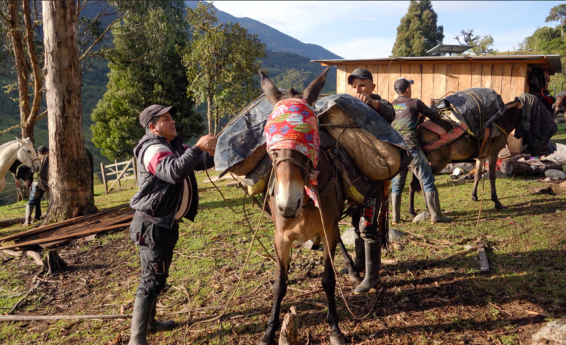 Campesinos de Uribe (Meta) construyen una carretera con sus propios recursos y piden ayuda para terminarla

 – Tinta clara