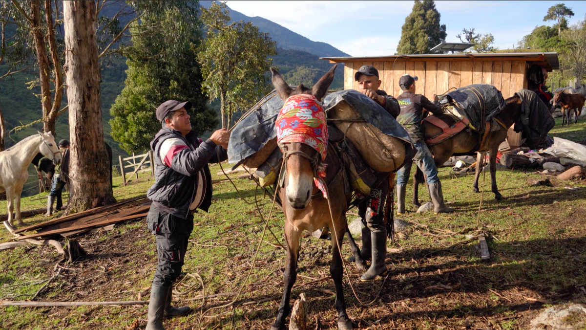 Campesinos de Uribe (Meta) construyen una carretera con sus propios recursos y piden ayuda para terminarla

 – Tinta clara