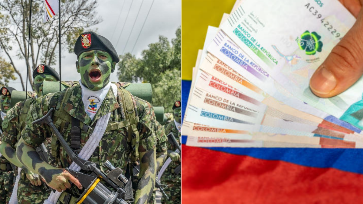 Estas son cantidades estimadas para oficiales y suboficiales.

 – Tinta clara