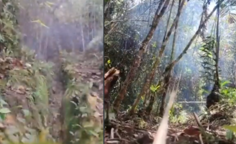 El Ejército evitó nuevos ataques del ELN al desactivar ocho explosivos escondidos cerca de una vía utilizada por la comunidad de Anorí, Antioquia

 – Tinta clara