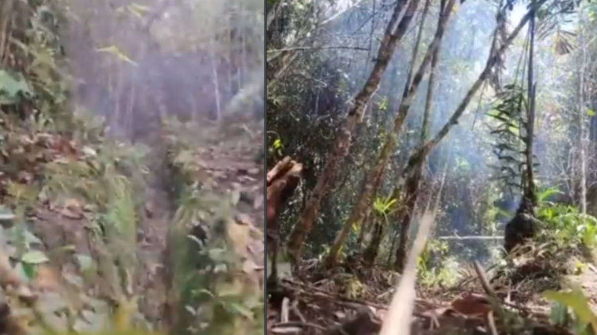 El Ejército evitó nuevos ataques del ELN al desactivar ocho explosivos escondidos cerca de una vía utilizada por la comunidad de Anorí, Antioquia

 – Tinta clara