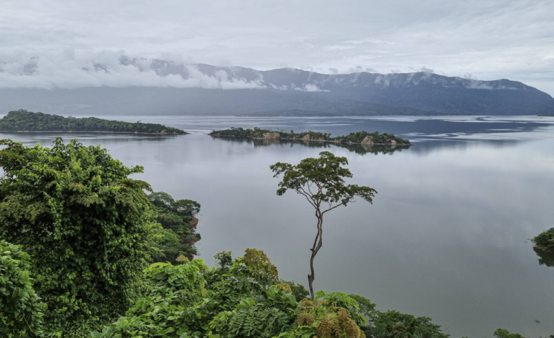 Fueron más de 15 horas de miedo y oscuridad, el barco se quedó sin gasolina

 – Tinta clara