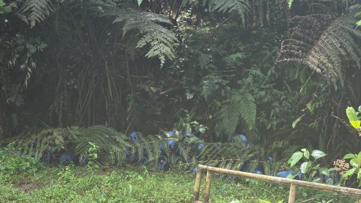 Operación en La Moralia frena posible uso terrorista por parte de disidentes

 – Tinta clara