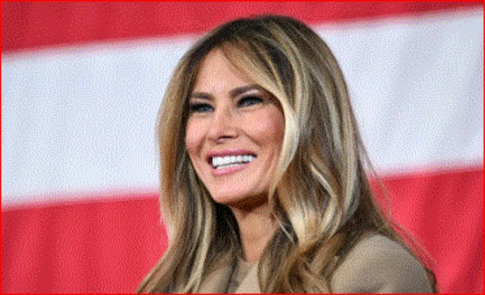 Melania Trump: «Nunca estuve en el avión de Epstein y nunca visité su isla privada»

 – Tinta clara