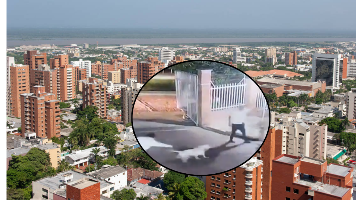 pitbull mata a yorkie en complejo residencial; familia anuncia acciones legales

 – Tinta clara